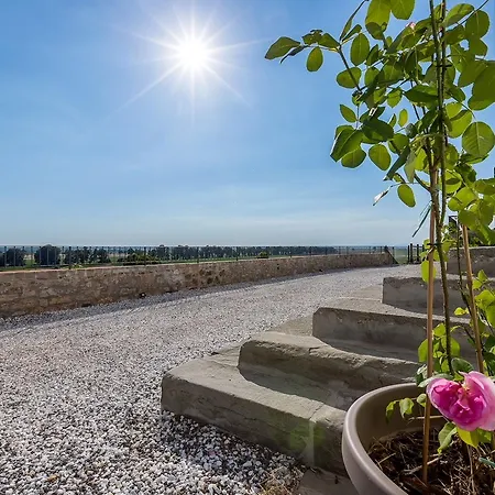 住宿加早餐酒店 Pietra A Padule